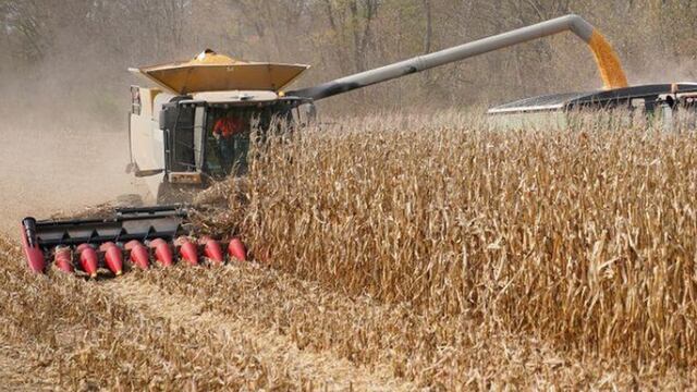 Estados Unidos: coronavirus afecta llegada de inmigrantes que suelen trabajar como agricultores