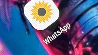 Todos los pasos para activar el “modo flores amarillas” en WhatsApp