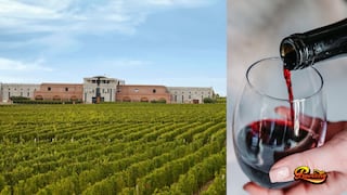 Petit Fleur Blend: descubre más sobre este vino del Valle de Uco