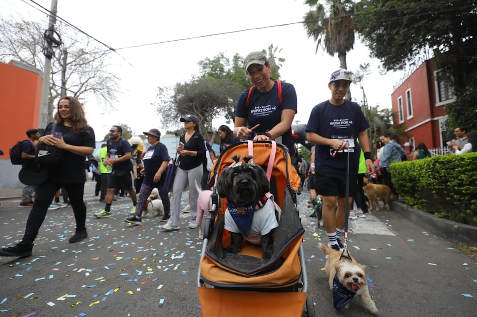 La Wufathon 4K 2025 en las calles de Barranco tuvo gran acogida. La jornada deportiva sirvió para que cientos de participantes compartieran con sus mascotas. (Foto: Antonio Melgarejo/ @photo.gec)