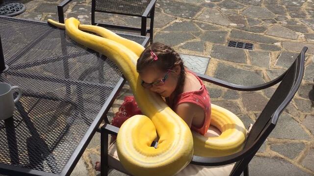 YouTube: preocupación en usuarios por niña que juega con una serpiente pitón [VIDEO]