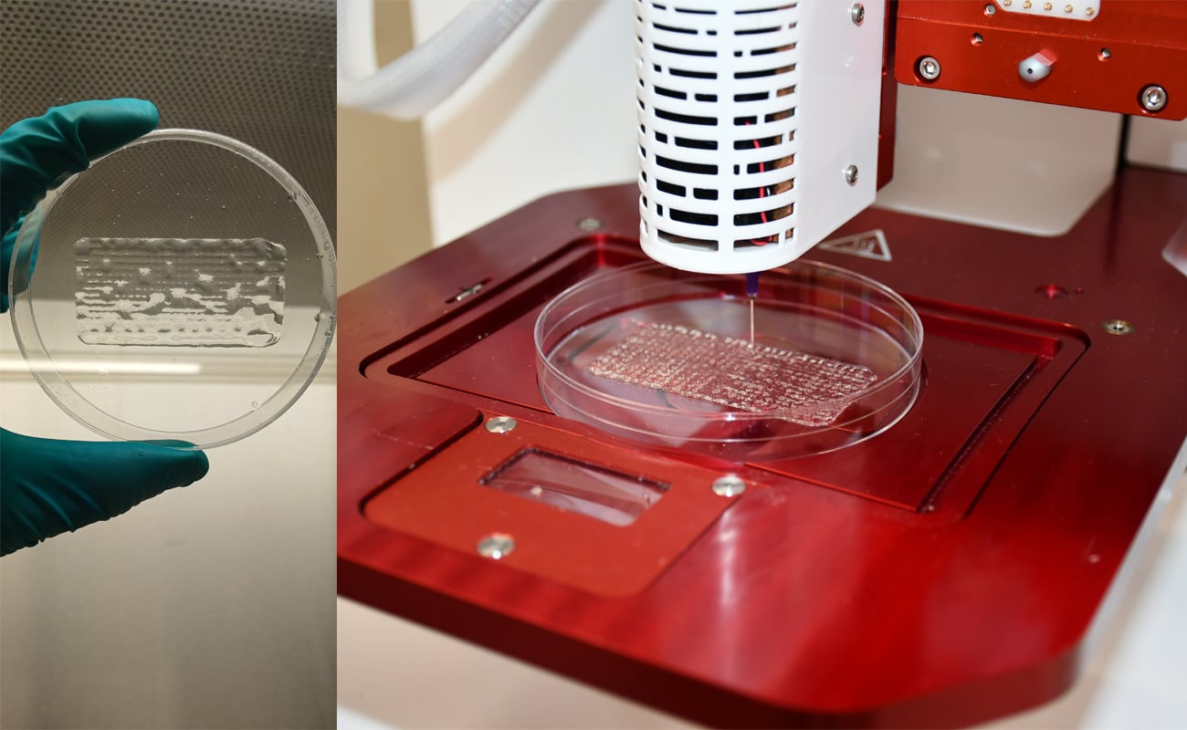 La bioimpresión 3D es uno de los puntos clave en la producción del parche. (Foto: PUCP)
