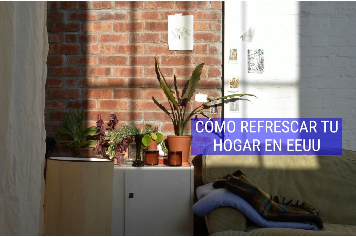 Con plantas de interior y elementos que tienes a la mano podrás refrescar tu hogar en Estados Unidos.(Foto: Pexels/Skylar Kang).