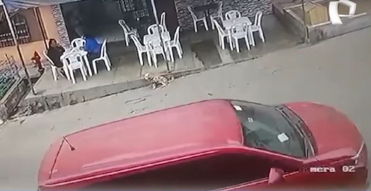 Fiscalía abre investigación preliminar por el nuevo caso de secuestro de una joven, hija de un empresario, en el distrito de Comas | Foto: Captura de video