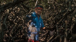 Los esfuerzos por defender los últimos bosques de manglares en Ecuador y Perú