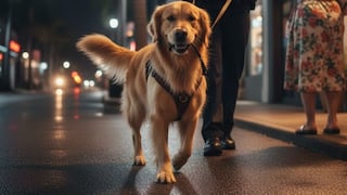La emotiva reacción de una agente policial al ser guiada por un perro hacia su dueña que estaba herida: “Eres un niño bueno”