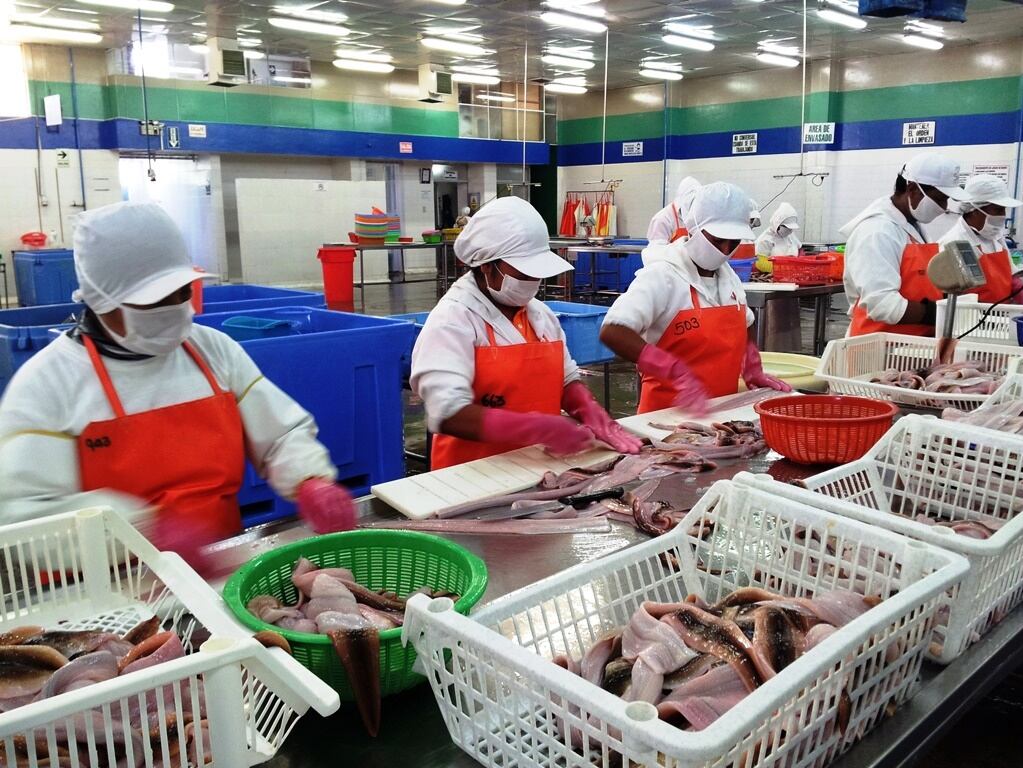 En el trimestre móvil febrero-marzo-abril de 2024, la población ocupada de Lima Metropolitana alcanzó los 5 millones 401 mil 100 personas, dio a conocer el INEI | Foto: Referencial