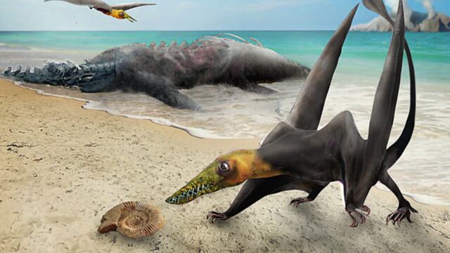 Científicos hallan en Chile un “dragón volador” prehistórico