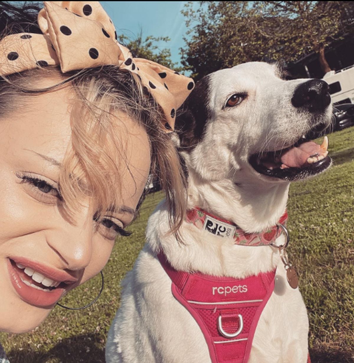 Al lado de su fiel mascota, a la que considera parte de su familia (Foto: Ruth Codd / Instagram)