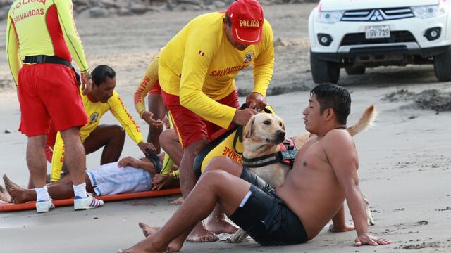 Semana Santa 2024: más de 350 salvavidas de la Policía vigilan playas de Lima por feriado largo
