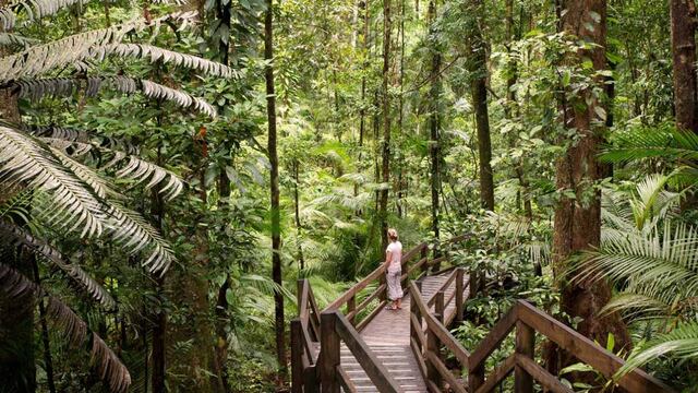 Los siete paraísos tropicales más espectaculares del mundo