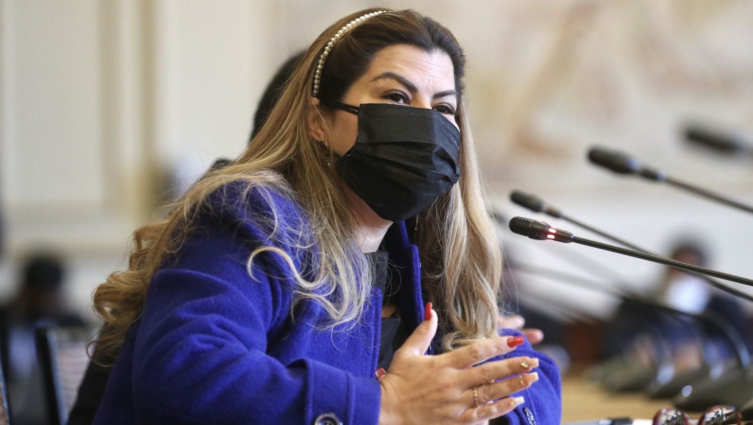 Silvia Barrera también negó que haya mantenido alguna reunión con el presidente Pedro Castillo. Foto: Congreso
