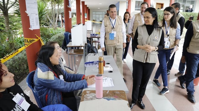 Observadores de OEA “muy contentos” por normalidad de votaciones presidenciales en Ecuador