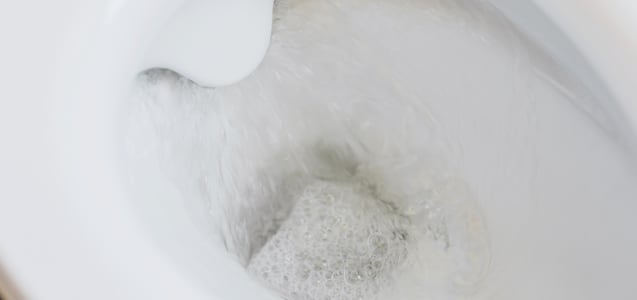 Las razones por las que debes echar sal al inodoro todas las noches