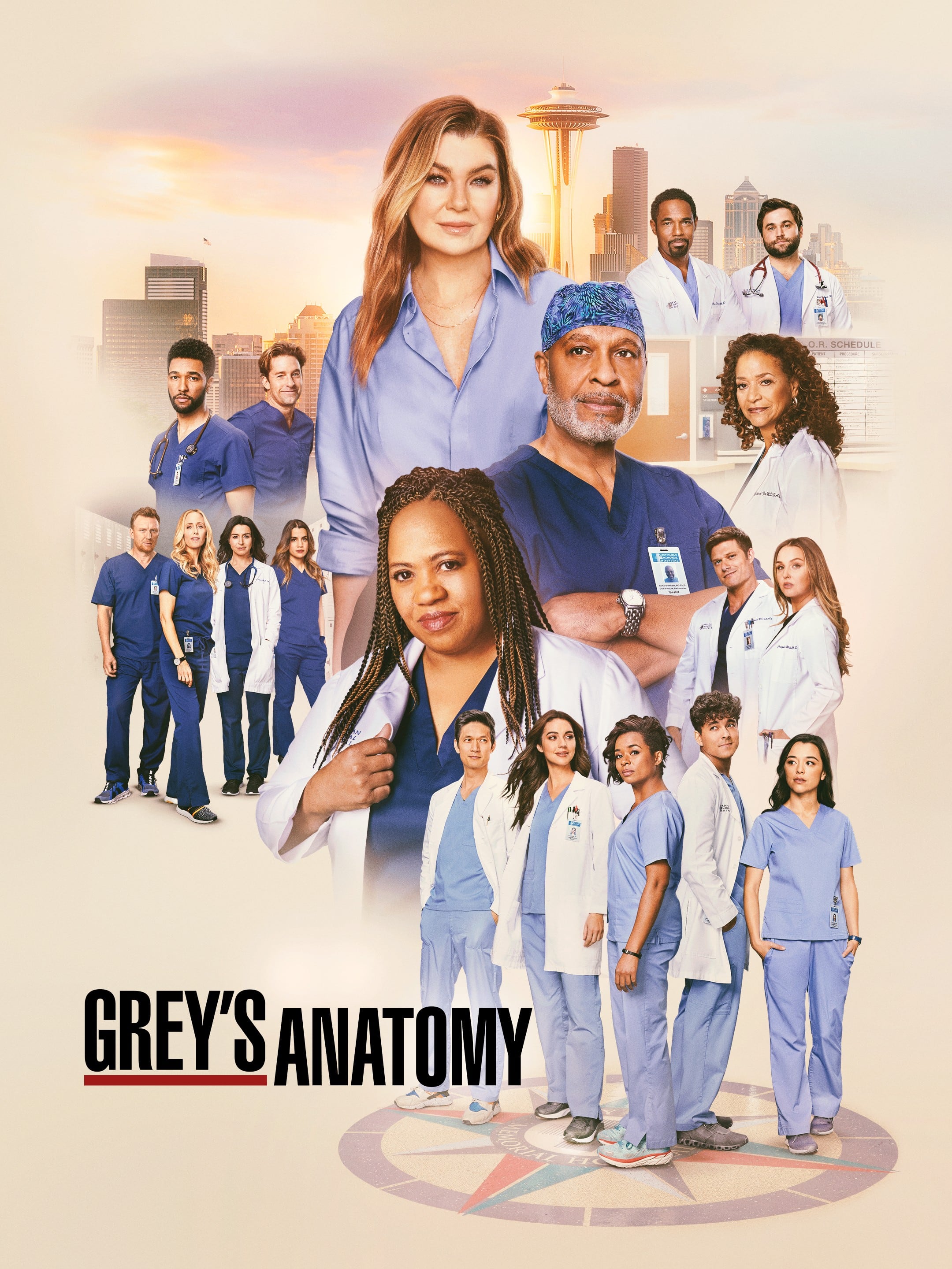 El póster de la temporada 21 de "Grey’s Anatomy", la memorable serie médica que ya es parte de la historia de la TV estadounidense (Foto: ABC)