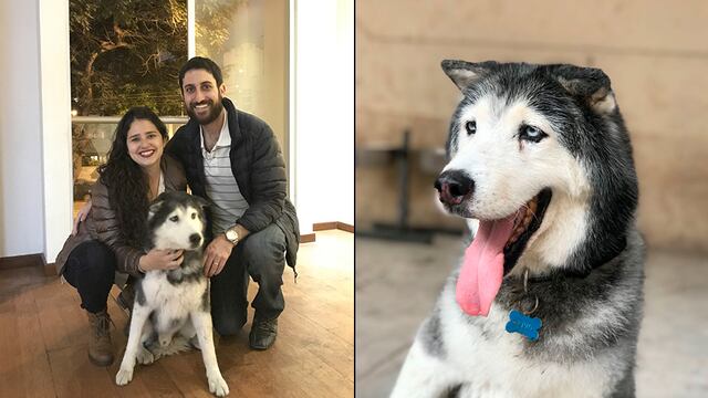 WUF: pareja adoptó a un perro con una discapacidad física y lo cuidó durante su último año de vida