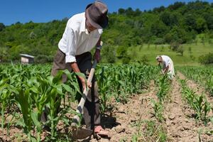 El relevo que el agro sigue esperando