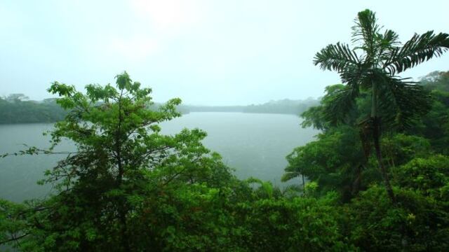 Madre de Dios: Sernanp reforzará vigilancia en áreas naturales