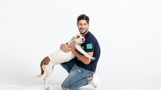 Andrés Wiese enseña cómo ayudar a los perros de la calle