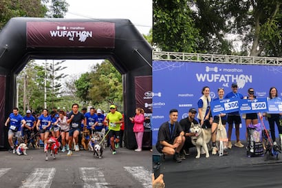 WUF: Wufathon 2025, la carrera solidaria donde la meta es un futuro mejor para los animales en estado de abandono