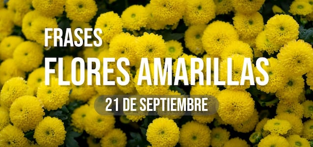 100 frases sobre flores amarillas que puedes ir anotando para dedicar este 21 de septiembre