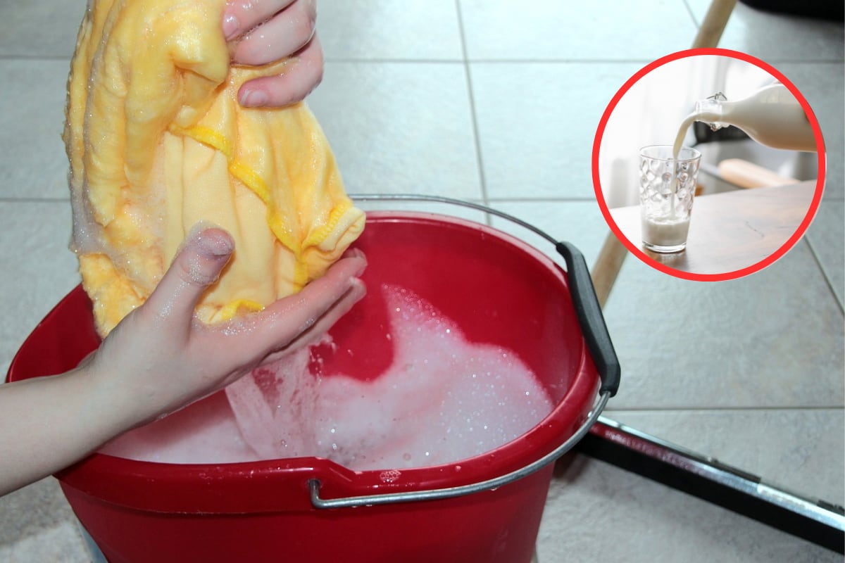 Trucos caseros | Conoce 5 usos de la leche muy efectivos en la limpieza del hogar. (Foto: Pixabay | Pexels/Charlotte May).