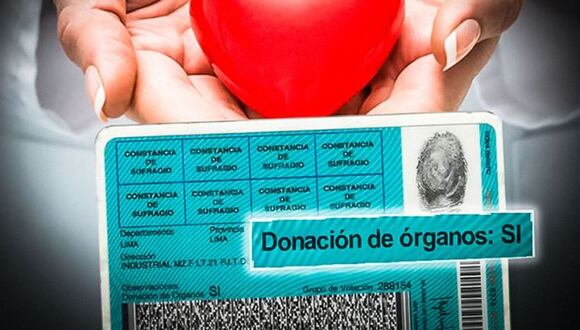 Un ciudadano puede expresar en el DNI su voluntad de donar sus órganos.