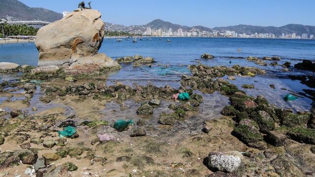 El mar se aleja 20 metros en las playas de la turística Acapulco [FOTOS]