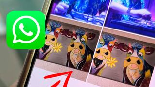 Por qué se guardan dos veces las fotos de WhatsApp en tu iPhone: solución