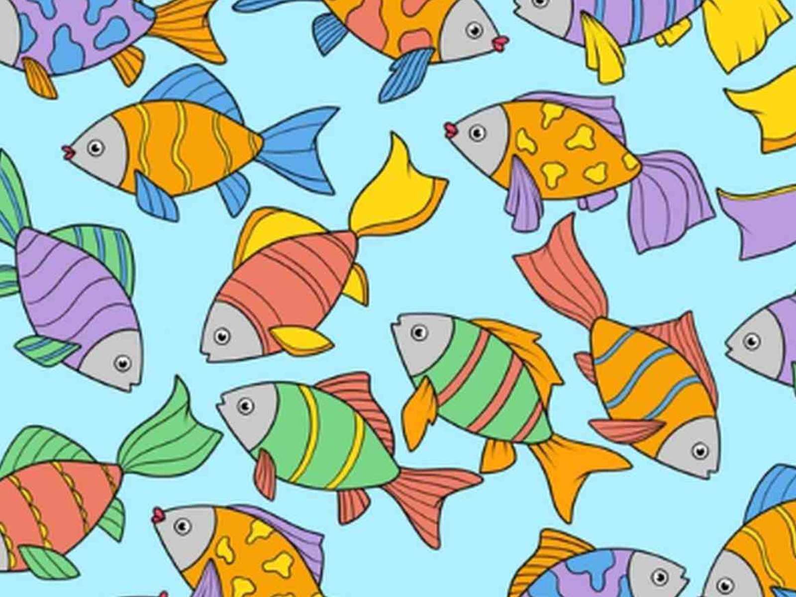 RETO VISUAL | En esta imagen hay varios peces. Detecta el que no tiene par. (Foto: genial.guru)