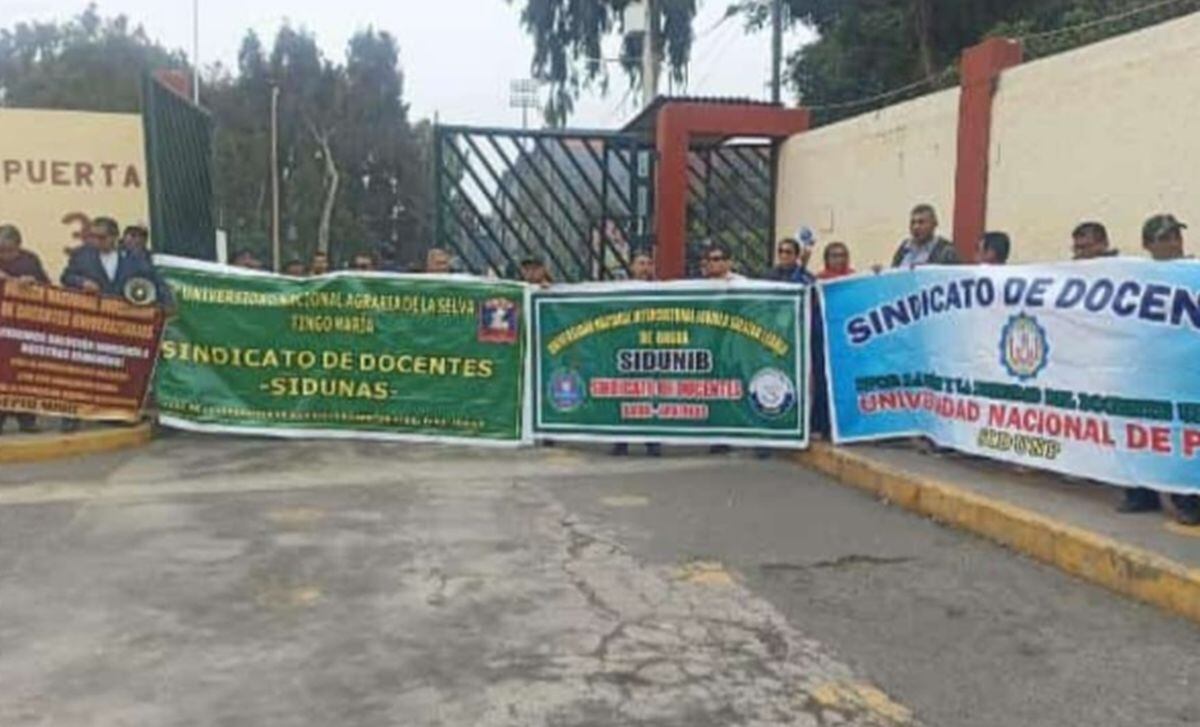 Docentes llegaron hasta la puerta 3 de San Marcos para acatar su medida de protesta en el marco de la huelga de la docencia universitaria nacional | Foto: Facebook