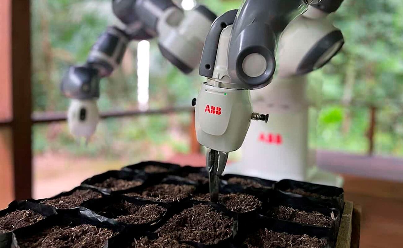 Robot ahorra en tiempo el trabajo de sembrado para la reforestación. Sirve de ayuda a guardabosques. (Foto: ecoinventos.com)