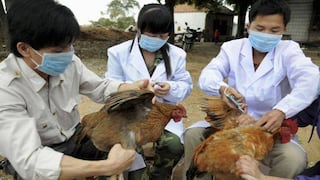 China: a 33 aumentan los afectados por nueva cepa de gripe aviar
