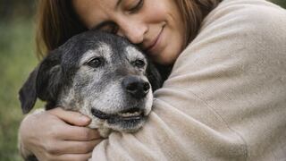WUF impulsa la adopción de perros senior: amor que no envejece, segundas oportunidades que transforman vidas