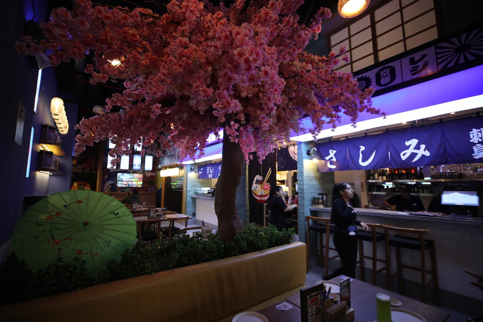 El árbol de cerezos shikizakura de Kyoto. (Foto: Antonio Melgarejo/ GEC)