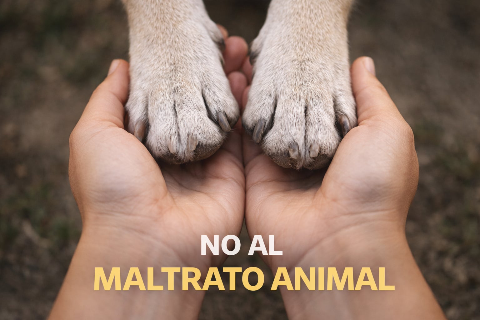 Cuando una mano cuida, la violencia se detiene. Proteger a quienes confían en nosotros es un acto de amor, conciencia y respeto por la vida. (Imagen generada por IA)