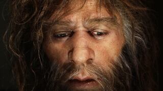 Secuencian por primera vez genes del cromosoma Y del Neandertal