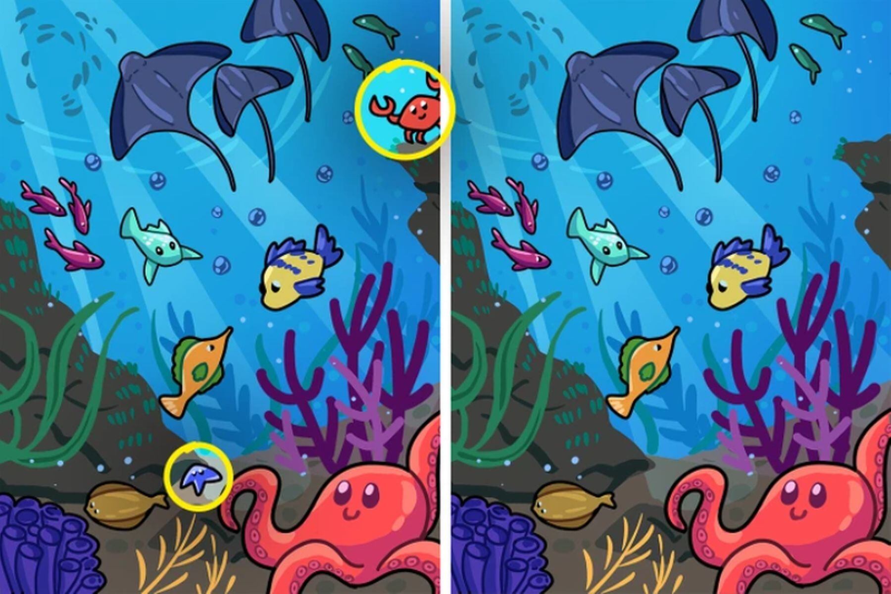 ACERTIJO VISUAL | Aquí se indica cuáles son las 2 diferencias entre las imágenes de animales acuáticos. (Foto: genial.guru)