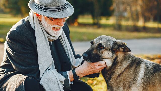 WUF: ¿por qué la tenencia de perros es positiva para los adultos mayores?