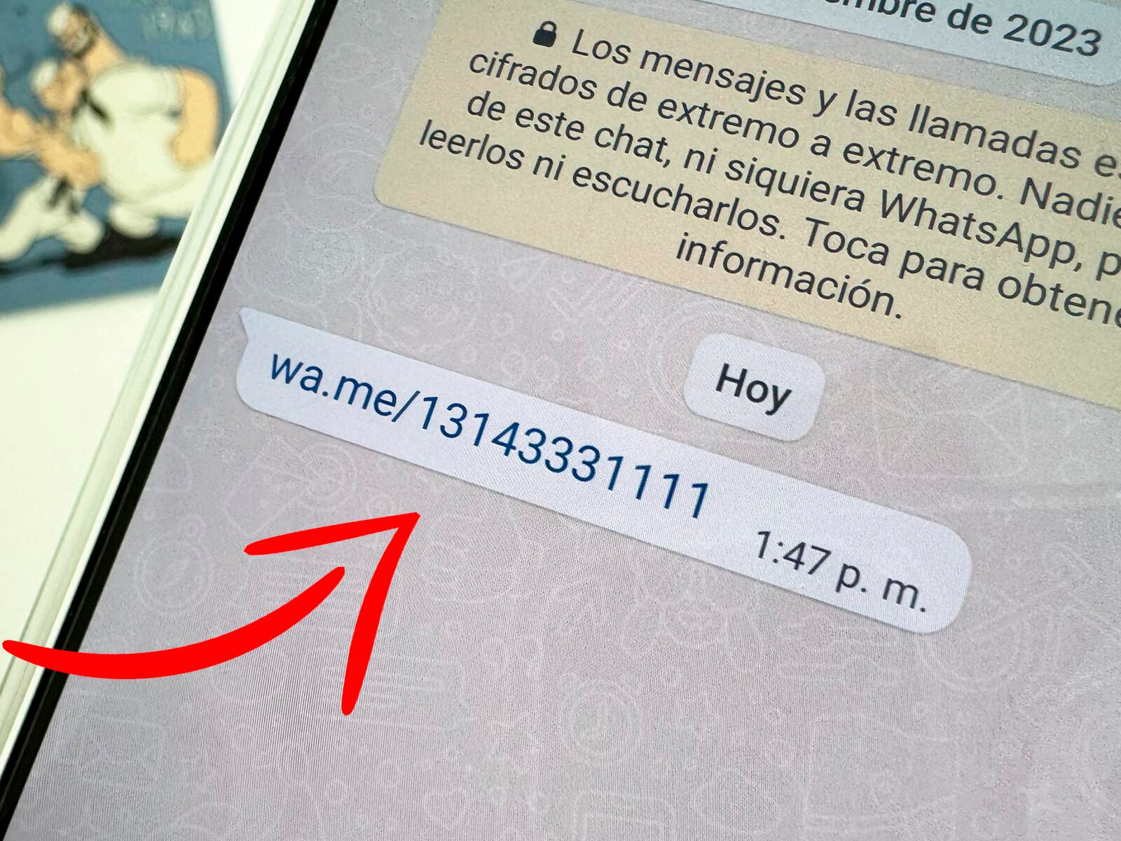 WHATSAPP | Aplica para las cuentas personales o negocio. (Foto: Mag)