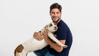 Únete, ayuda y ahorra: la herramienta de WUF que permitirá ampliar la red de ayuda a perros sin hogar