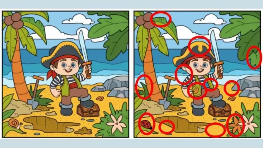 RETO VISUAL | ¿Logras encontrar las 12 diferencias dentro de los 35 segundos? | fresherslive