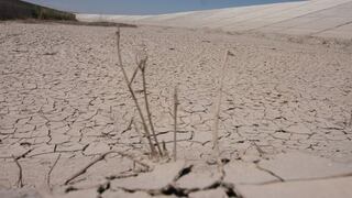 Minagri declarará en emergencia hídrica a regiones por sequía