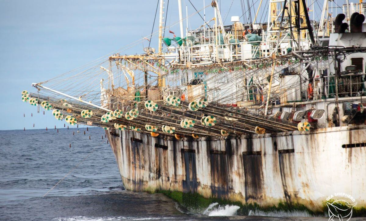 Toda nave extranjera que desee recibir cualquier tipo de servicio en los puertos peruanos, incluso las que pescan pota en alta mar, está obligada a instalar el Sistema de Seguimiento Satelital.