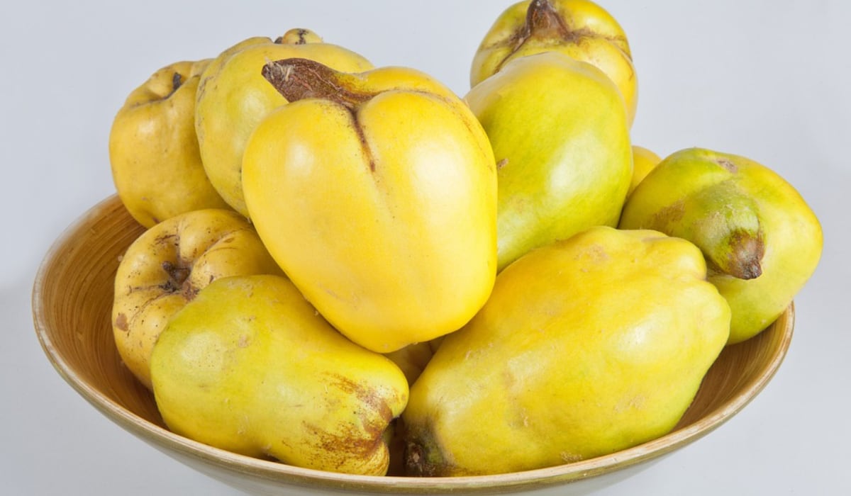 El membrillo es único en su especie. (Imagen: Pixabay)