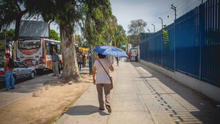Senamhi: distritos de Lima Este registraron la mayor temperatura del verano 2024