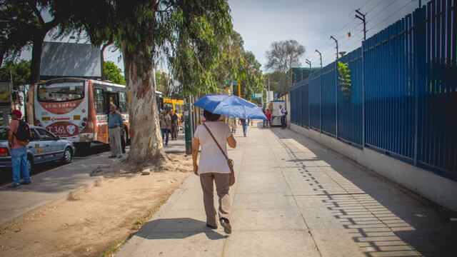 Senamhi: distritos de Lima Este registraron la mayor temperatura del verano 2024