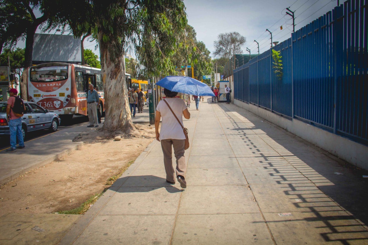 Los termómetros alcanzaron los 31.6 °C en distritos como La Molina, Ate, Santa Anita, San Juan de Lurigancho, entre otros.