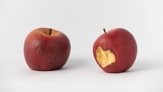 Nueva galería ingresa al circuito artístico de Lima: GATO