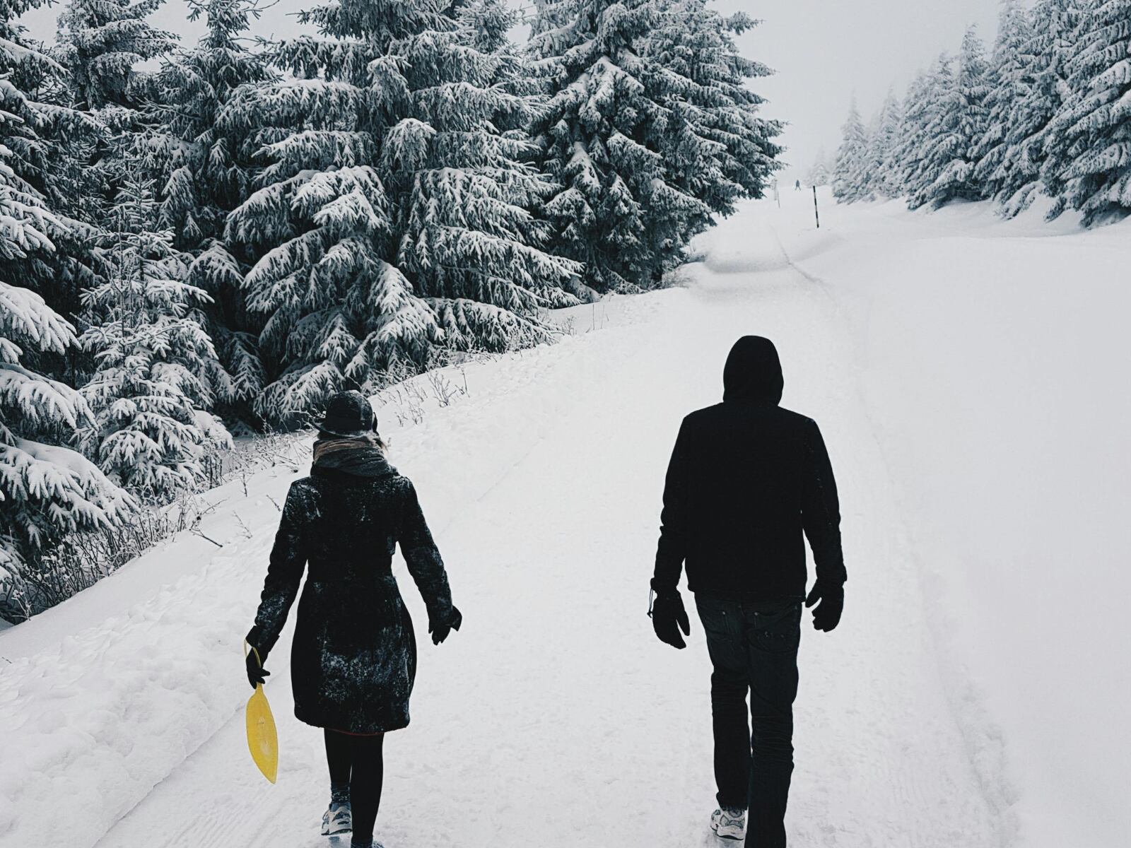 Soñar con nieves se asocia con la pureza y la limpieza por su color blanco (Foto: Pexels)